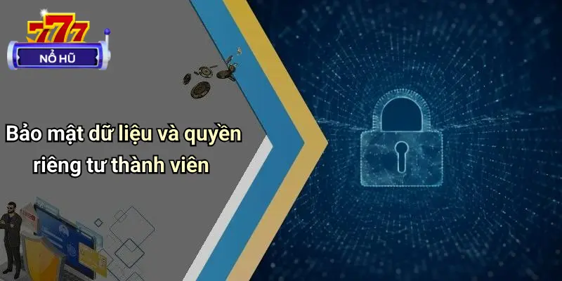 Điều Khoản Điều Kiện